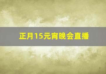 正月15元宵晚会直播