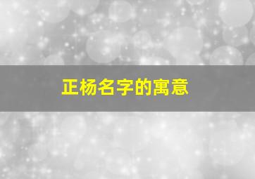 正杨名字的寓意