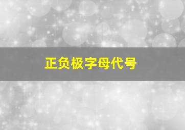 正负极字母代号