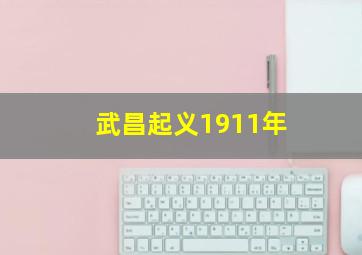 武昌起义1911年