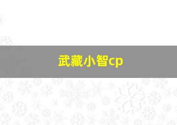 武藏小智cp