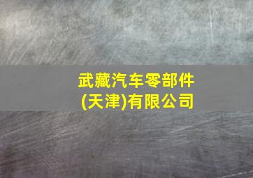 武藏汽车零部件(天津)有限公司