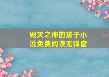 毁灭之神的孩子小说免费阅读无弹窗