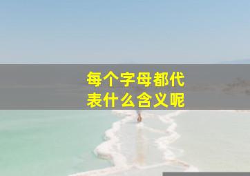 每个字母都代表什么含义呢