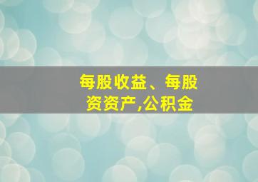 每股收益、每股资资产,公积金