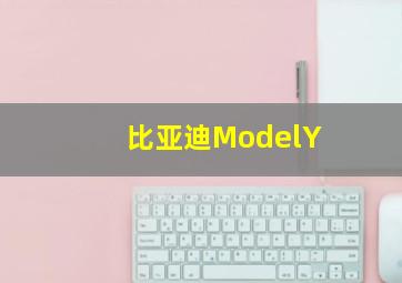 比亚迪ModelY