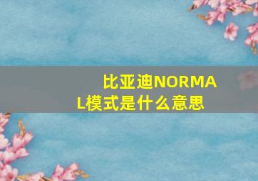 比亚迪NORMAL模式是什么意思