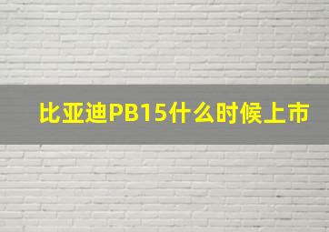 比亚迪PB15什么时候上市