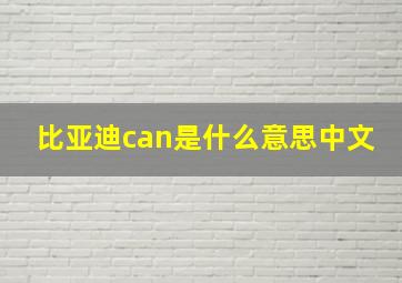 比亚迪can是什么意思中文