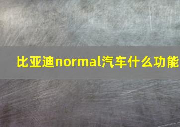 比亚迪normal汽车什么功能