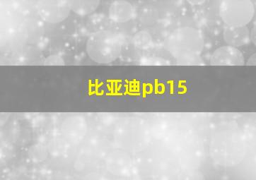 比亚迪pb15