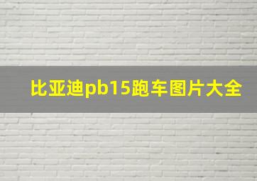 比亚迪pb15跑车图片大全