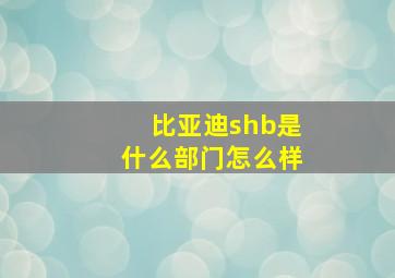 比亚迪shb是什么部门怎么样