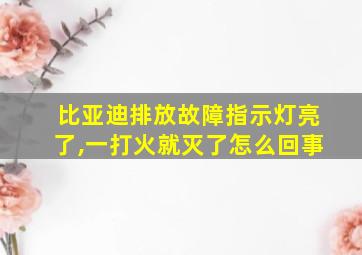 比亚迪排放故障指示灯亮了,一打火就灭了怎么回事