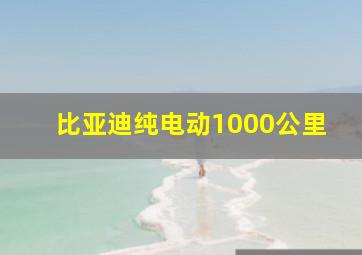 比亚迪纯电动1000公里