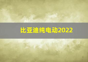 比亚迪纯电动2022