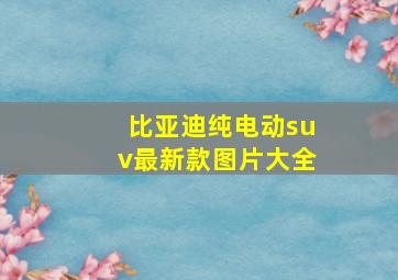 比亚迪纯电动suv最新款图片大全