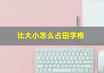 比大小怎么占田字格