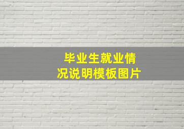 毕业生就业情况说明模板图片