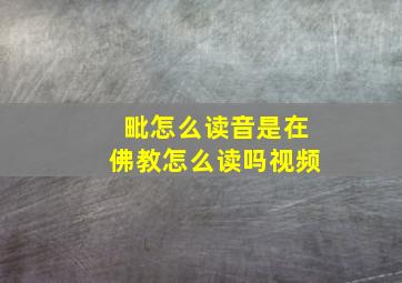 毗怎么读音是在佛教怎么读吗视频