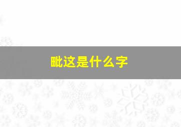 毗这是什么字