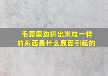 毛囊里边挤出米粒一样的东西是什么原因引起的