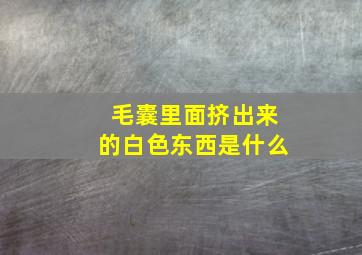 毛囊里面挤出来的白色东西是什么