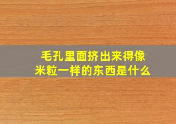 毛孔里面挤出来得像米粒一样的东西是什么