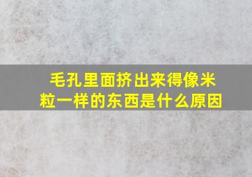 毛孔里面挤出来得像米粒一样的东西是什么原因