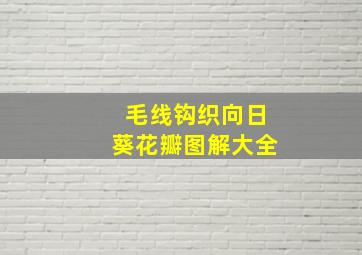 毛线钩织向日葵花瓣图解大全