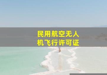 民用航空无人机飞行许可证