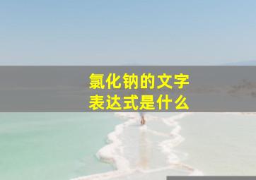 氯化钠的文字表达式是什么