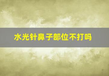 水光针鼻子部位不打吗