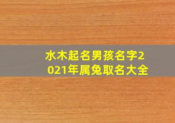 水木起名男孩名字2021年属兔取名大全