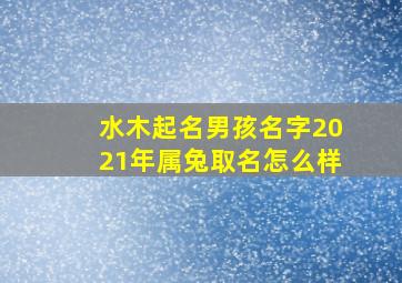 水木起名男孩名字2021年属兔取名怎么样