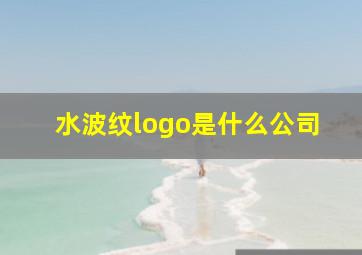 水波纹logo是什么公司