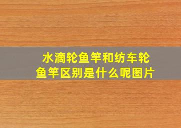 水滴轮鱼竿和纺车轮鱼竿区别是什么呢图片