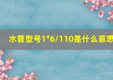 水管型号1*6/110是什么意思