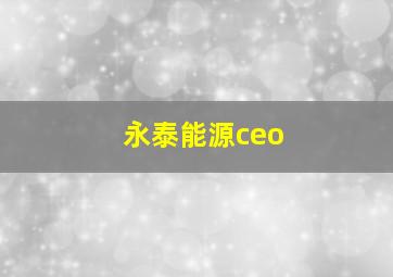 永泰能源ceo