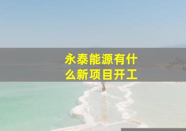 永泰能源有什么新项目开工