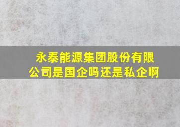 永泰能源集团股份有限公司是国企吗还是私企啊