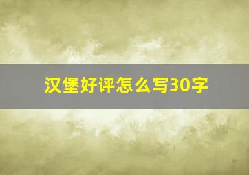 汉堡好评怎么写30字