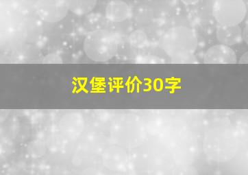 汉堡评价30字