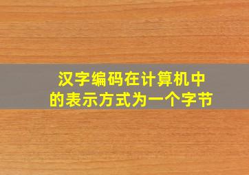 汉字编码在计算机中的表示方式为一个字节