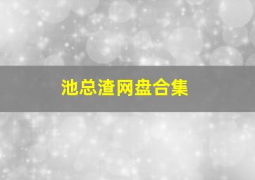 池总渣网盘合集