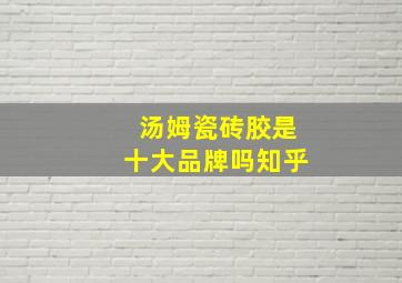 汤姆瓷砖胶是十大品牌吗知乎