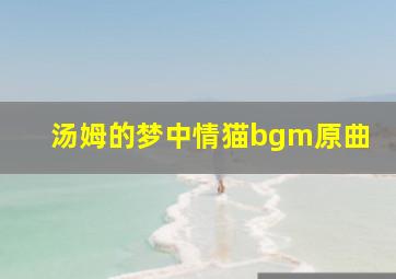 汤姆的梦中情猫bgm原曲