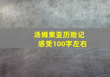 汤姆索亚历险记感受100字左右