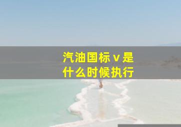 汽油国标ⅴ是什么时候执行