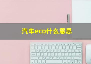 汽车eco什么意思